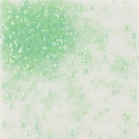 Frits 222-2SF poeder 50gram